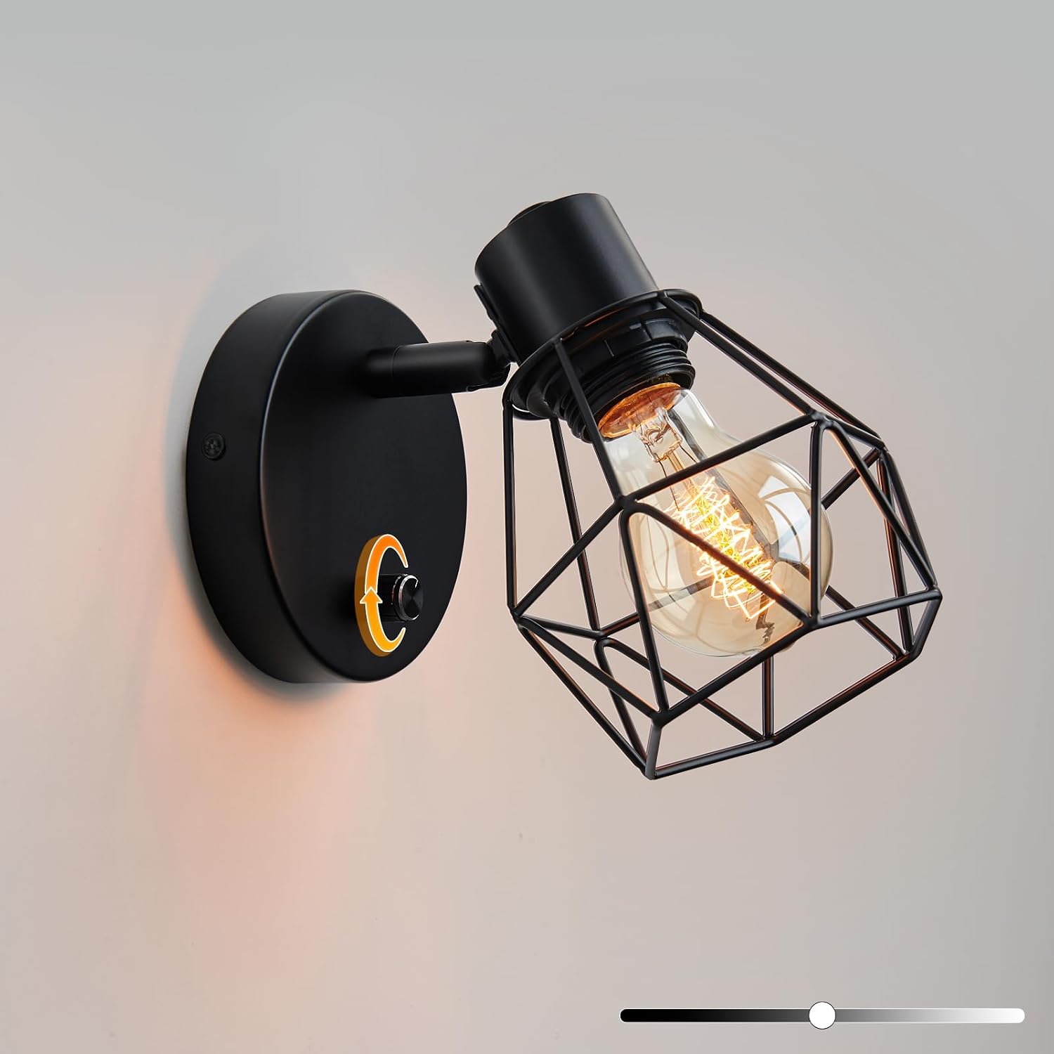 Black Cage Adjustable Wall Sconce